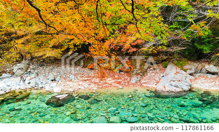 The Agana valley in autumn The Agana valley in autumn 117861166