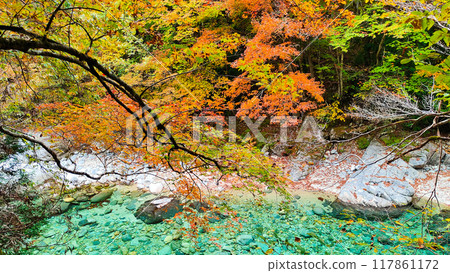 阿加尼亞山谷在秋天 阿加尼亞山谷在秋天 117861172
