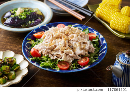 各種夏季菜餚 117861301