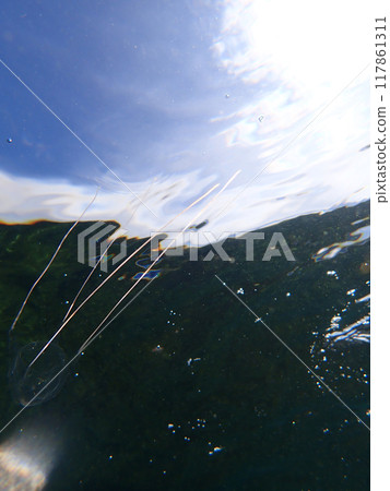 安東水母 117861311