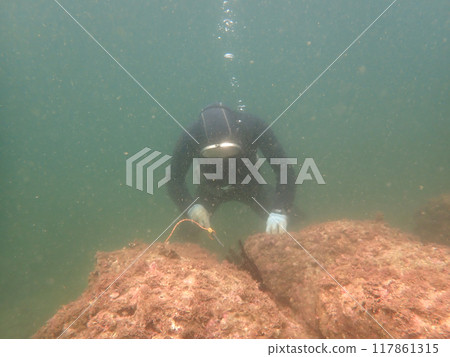 Diving Fisherman Diving Fisherman 117861315
