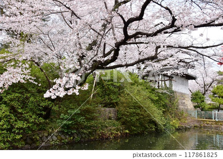 Takasaki City, Gunma Prefecture Takasaki Castle Ruins Park Moat in full bloom Cherry blossoms and dry turret Takasaki City, Gunma Prefecture Takasaki Castle Ruins Park Moat in full bloom Cherry blossoms and dry turret 117861825