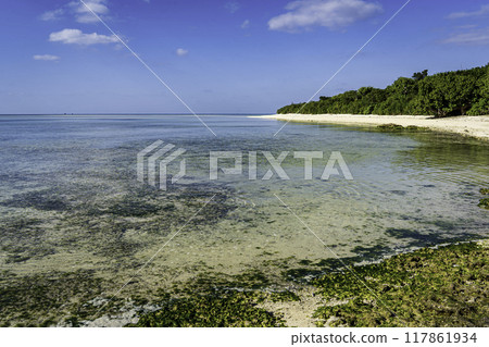 竹富島康多海灘 竹富島康多海灘 117861934