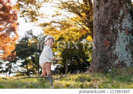1 year old playing in the autumn park 1 year old playing in the autumn park 117861987