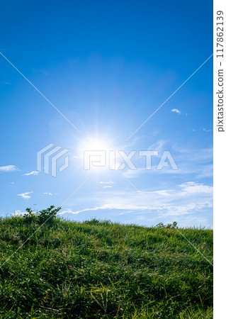The sun over the grass 117862139