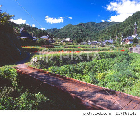 石蒜花盛開的京都大原之裡 / 京都府京都市左京區大原總町 石蒜花盛開的京都大原之裡 / 京都府京都市左京區大原總町 117863142