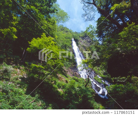 The new greenery of "Tentaki" / Top 100 Waterfalls in Japan / Hyonosen-Ushiroyama-Nagisan Quasi-National Park / Oyacho, Yabu City, Hyogo Prefecture 117863151
