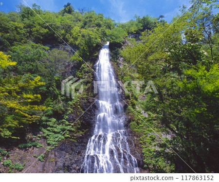 The new greenery of "Tentaki" / Top 100 Waterfalls in Japan / Hyonosen-Ushiroyama-Nagisan Quasi-National Park / Oyacho, Yabu City, Hyogo Prefecture 117863152