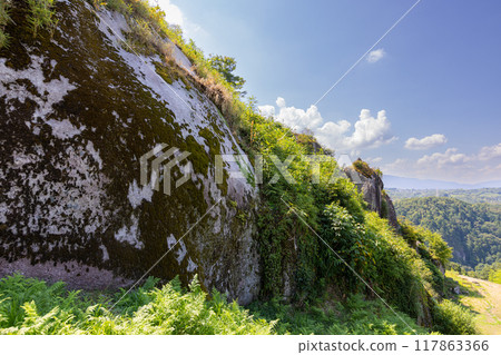 Stone wall of Naegi castle ruins Stone wall of Naegi castle ruins 117863366