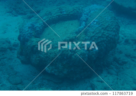 Transparent sea, Okinawa Transparent sea, Okinawa 117863719