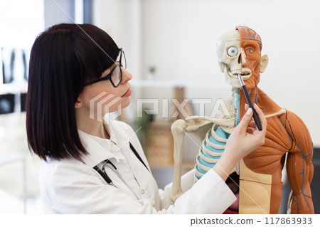 Female doctor explaining anatomy with human skeleton model Female doctor explaining anatomy with human skeleton model 117863933