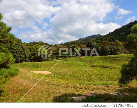 修學院離宮田園風光(飯架) 修學院離宮田園風光(飯架) 117864092