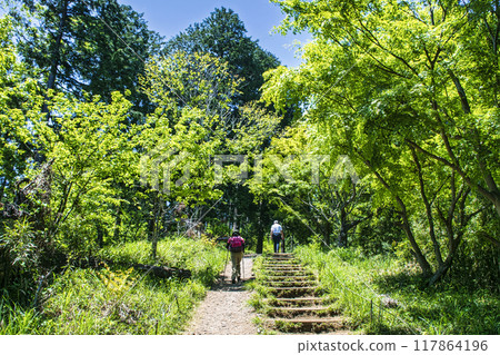 高尾山登山路線 從高尾山到小伯岳城山 高尾山登山路線 從高尾山到小伯岳城山 117864196