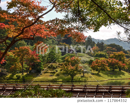 Shogakuin皇宮皇宮龍捲風池塘 117864332