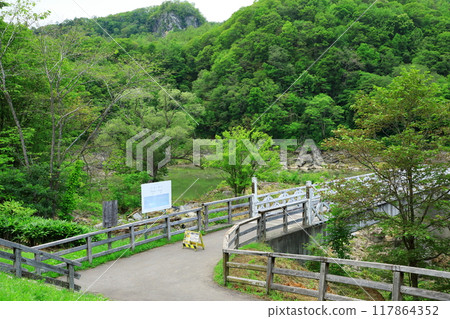 旭川市神威古檀 旭川市神威古檀 117864352