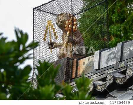Akayama Zen monkey monkey monkey (hall) Akayama Zen monkey monkey monkey (hall) 117864489