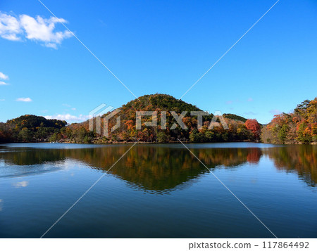 寶池公園（寶池公園） 秋葉 117864492