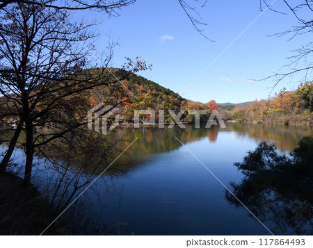寶池公園（寶池公園） 秋葉 117864493