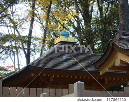 加茂水神社(下鴨神社) 22 社 加茂水神社(下鴨神社) 22 社 117864630