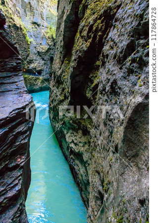 The Aare Gorge The Aare Gorge 117864728