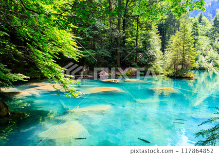 Blausee lake or Blue Lake in Bernese Oberland, Kandergrund, Switzerland Blausee lake or Blue Lake in Bernese Oberland, Kandergrund, Switzerland 117864852