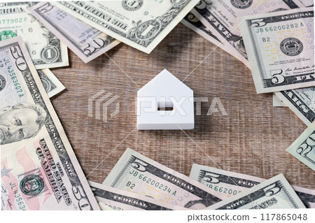 Foreign currency transaction image (real estate US dollar) 117865048