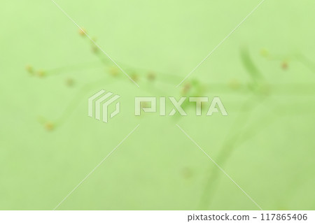 Bokeh collaboration of Japanese paper and plants [Background material] 117865406