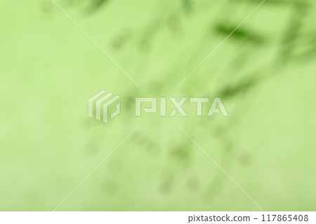 日紙與植物的散景協作[背景資料] 117865408