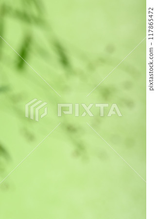 日紙與植物的散景協作[背景資料] 117865472
