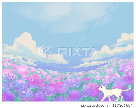 Hydrangea, white cat and blue sky Hydrangea, white cat and blue sky 117865694