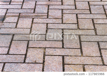 Brick Trail Brick Trail 117865966
