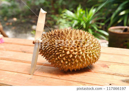 durian fruit on the wood table, closeup of photo 117866197