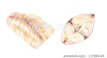 Steamed and grilled white fish steak and fillet ingredients watercolor illustration clipart. Cutting halibut and cod for healthy home food. For cookbook recipes, menu. Seafood top view 117866324