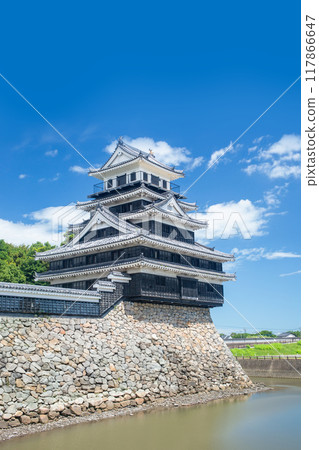 Nakatsu Castle 117866647