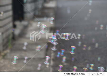 許多肥皂泡飛舞的風景 117866750