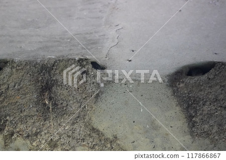 Swallow's nest 117866867