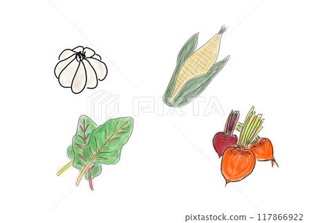 Digitally hand-drawn illustration of garlic and swiss chard with corn and beets 117866922