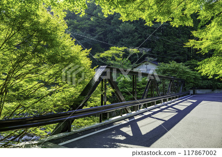 A bridge over the Okutsu Valley near Hannyaji Onsen in Kagamino Town, Okayama Prefecture 117867002