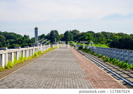 Lake Sayama, also known as Yamaguchi Reservoir, the water source for Tokyo residents 117867024