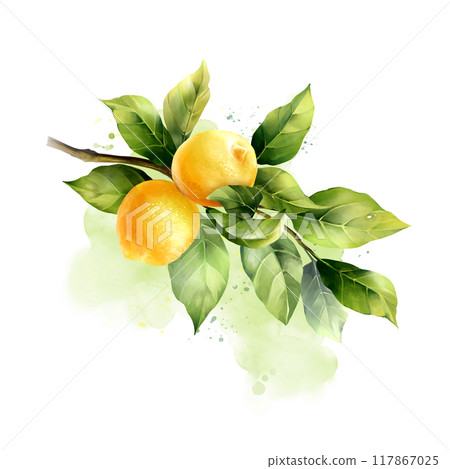 Lemons with leaves. Hand drawn illustration in watercolor style 117867025