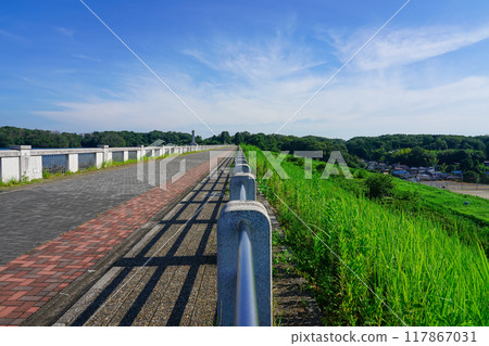 Lake Sayama, also known as Yamaguchi Reservoir, the water source for Tokyo residents 117867031