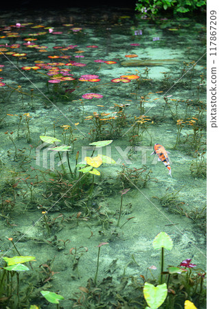 Nameless Pond (Monet's Pond) Seki City, Gifu Prefecture 117867209
