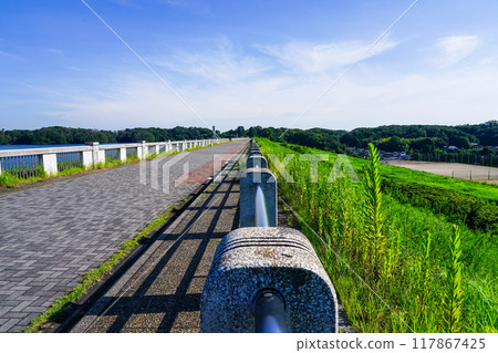 Lake Sayama, also known as Yamaguchi Reservoir, the water source for Tokyo residents Lake Sayama, also known as Yamaguchi Reservoir, the water source for Tokyo residents 117867425