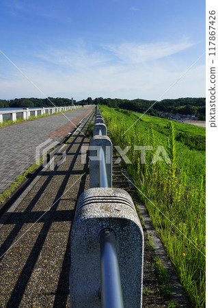 Lake Sayama, also known as Yamaguchi Reservoir, the water source for Tokyo residents Lake Sayama, also known as Yamaguchi Reservoir, the water source for Tokyo residents 117867426
