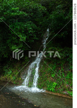 Spring water after a heavy rain warning 117868628