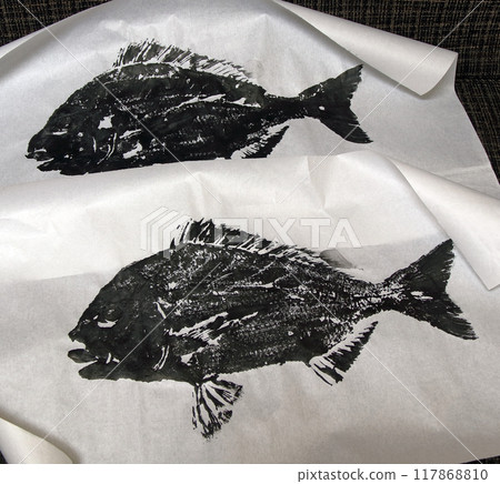 Fish caught from the embankment: Heptagonal sea bream, commemorative photo, fish print 117868810