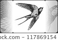 Swallow bird in flight flapping its spread wings. Vector illustration in styles of engraving, linocut, vintage, line art, ink, black and white for a tattoo, laser or print. Hand drawn, no trace, no AI Swallow bird in flight flapping its spread wings. Vector illustration in styles of engraving, linocut, vintage, line art, ink, black and white for a tattoo, laser or print. Hand drawn, no trace, no AI 117869154