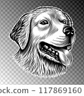 Head of a golden retriever, a labrador. Dog head portrait for sticker, emblem, label, print design. Vintage retro line art ink style. Purely vector illustration, without tracing, hand drawn by human. Head of a golden retriever, a labrador. Dog head portrait for sticker, emblem, label, print design. Vintage retro line art ink style. Purely vector illustration, without tracing, hand drawn by human. 117869160
