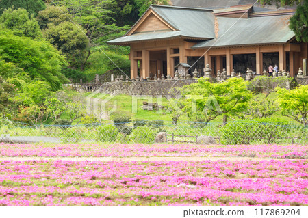 臼杵石佛公園和福祿考 117869204