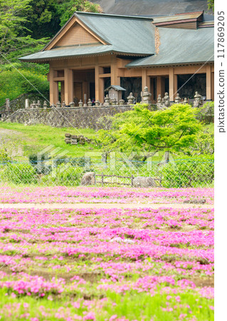 臼杵石佛公園和福祿考 臼杵石佛公園和福祿考 117869205